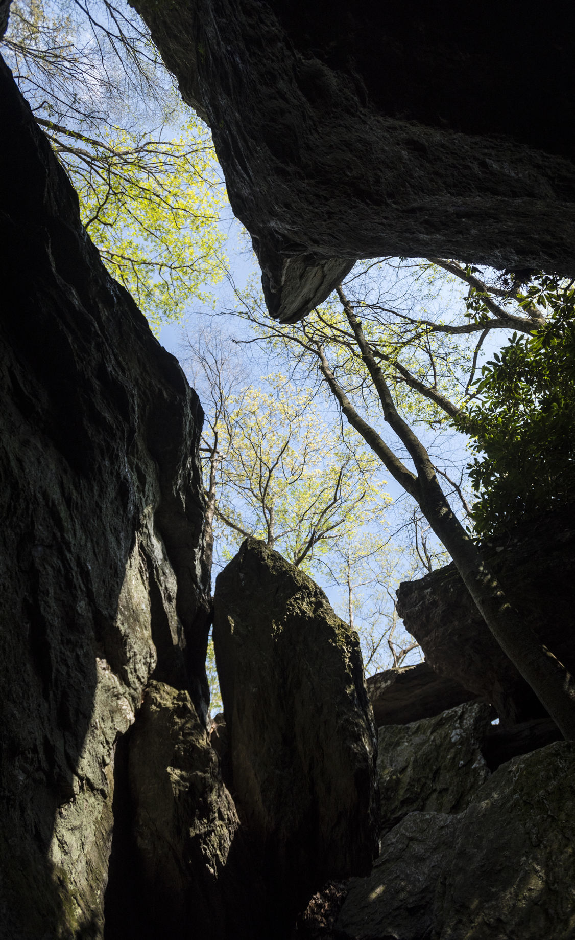 Devil's Den Nature Preserve