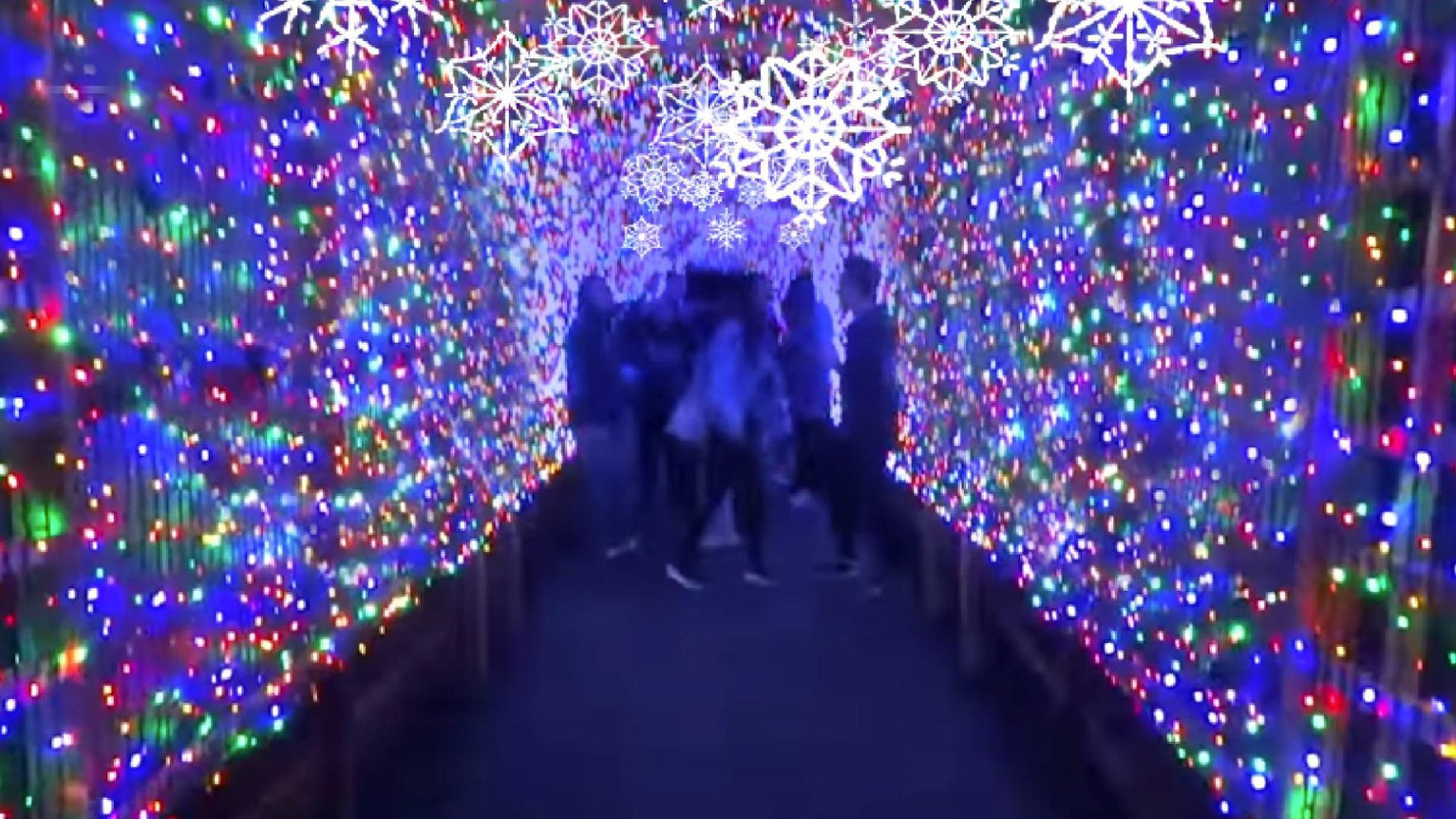 Greensboro Science Center To Launch New Winter Wonderlights In November Local News Journalnow Com Christmas Light Show Greensboro Nc 2021