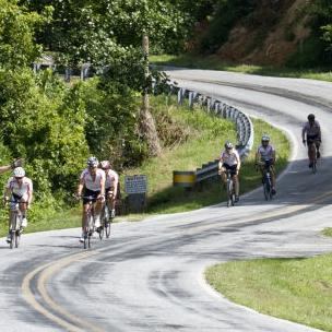 Ask Sam: Are bicyclists supposed to follow traffic laws? - Vimarsana News