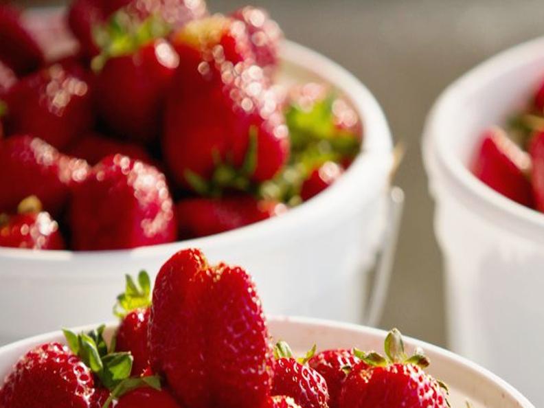 Strawberry Fields Forever Winston Salem Monthly Journalnow Com