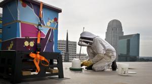 Bee conservation initiative starts in downtown Winston-Salem