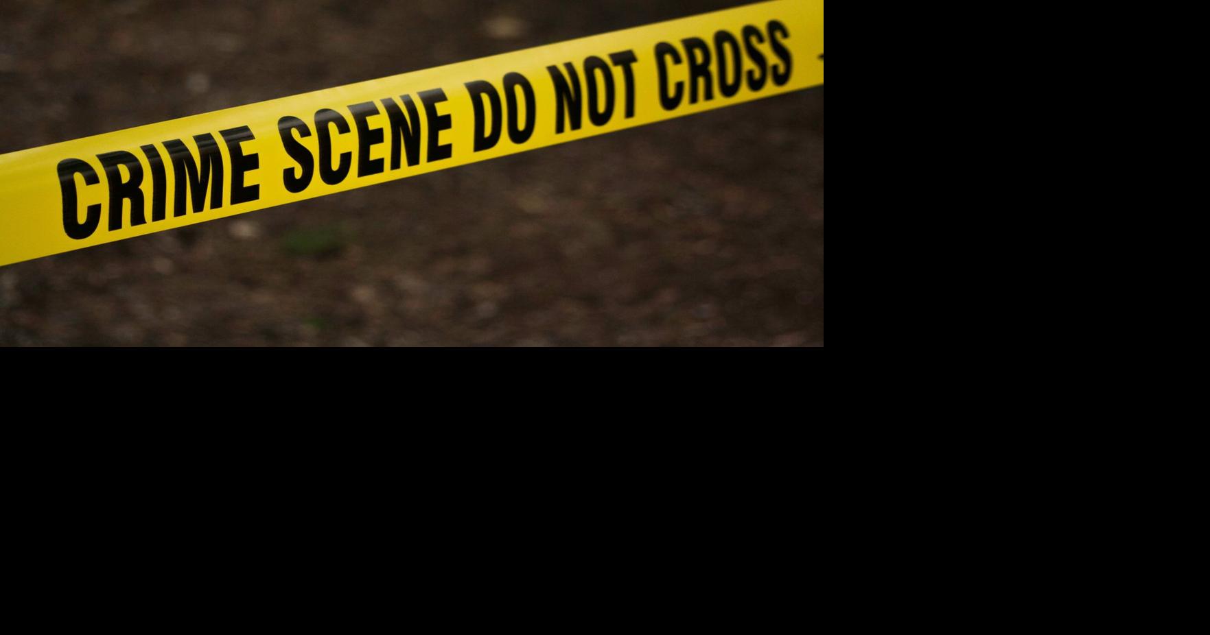 Pack of 7 small dogs attacks, kills Oklahoma woman