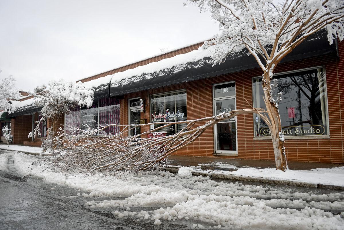 Wet snow blankets WinstonSalem Galleries
