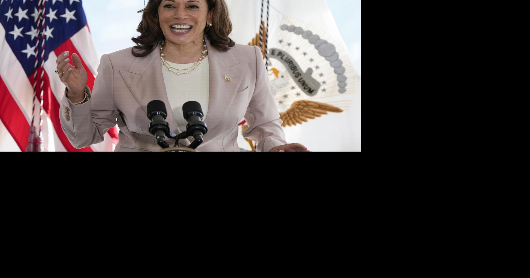 Lynn Schmidt The elephant in the room is a donkey