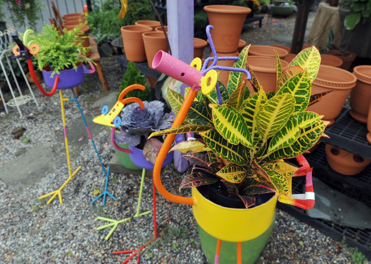House of Plants has created gardening niche Garden