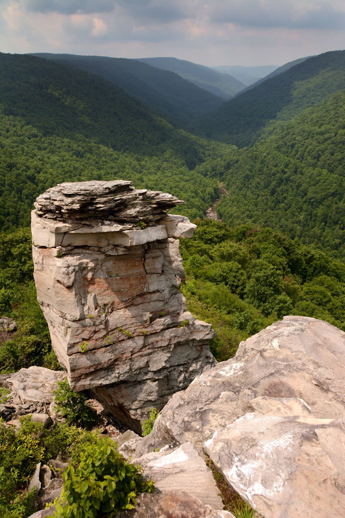 Gorge Ous Views Await At Blackwater Falls State Park Travel