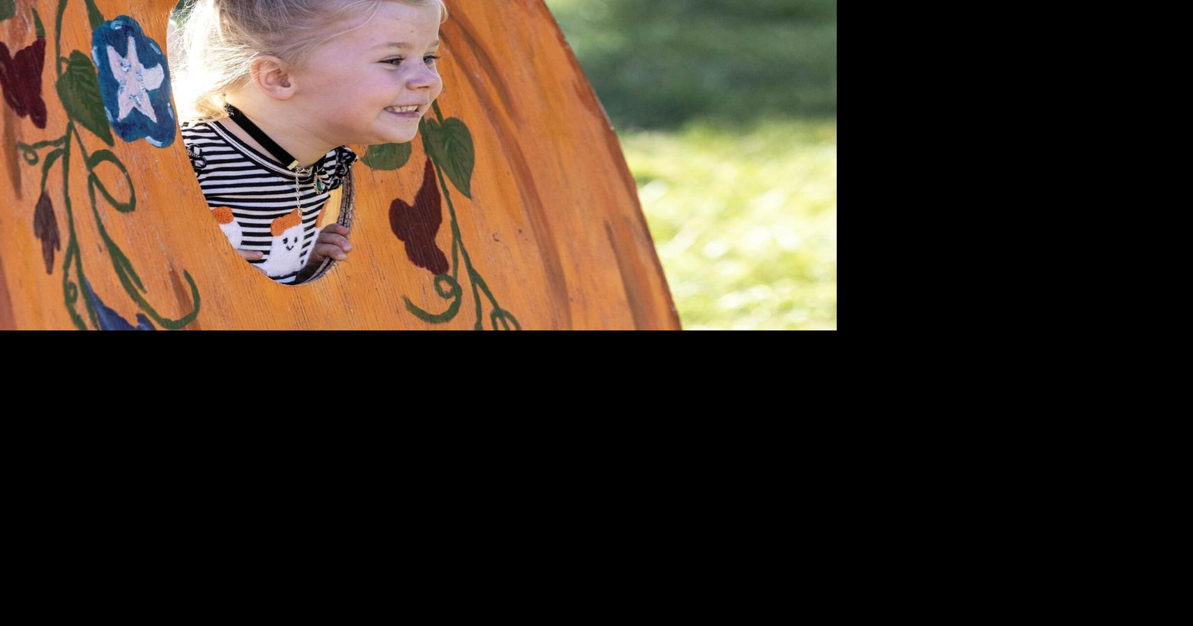 Families pick pumpkins from patch. See the photos