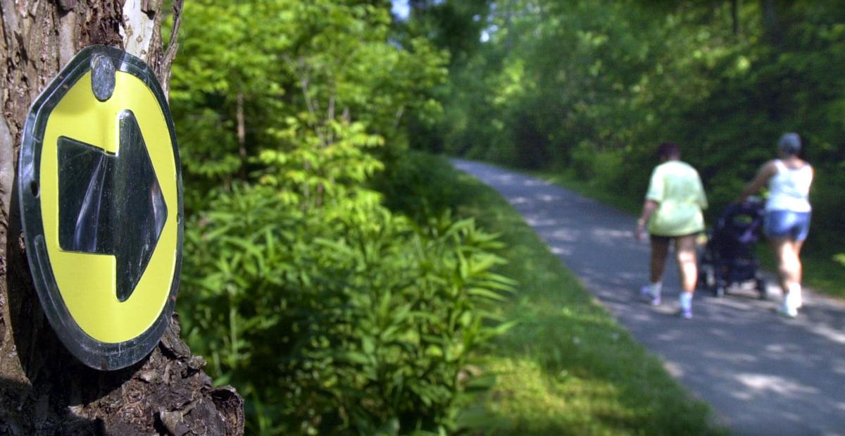 PICK 6 Our Top Walking Trails