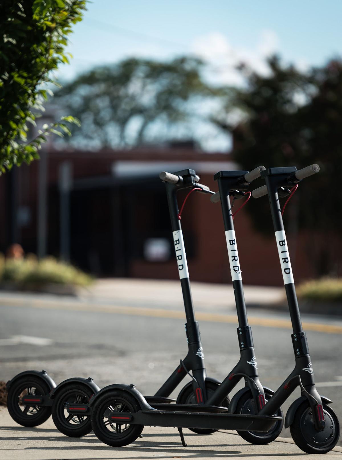 Bird electric scooters have landed in a big way Local News