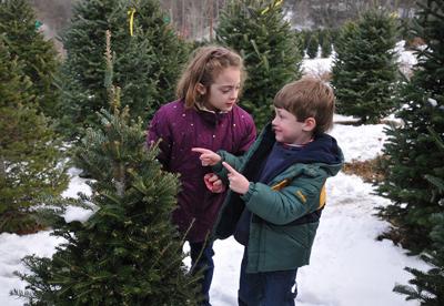 A High Country Holiday Features Journalnow Com