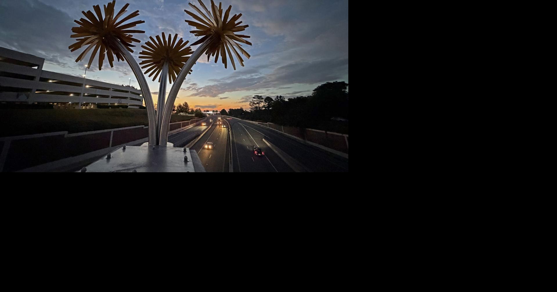 From the editor: Everybody's talking about giant dandelions, THC drinks and Popeyes shrimp