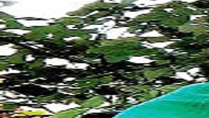 Hicks Raleigh Troy Obituaries Journalnow Com