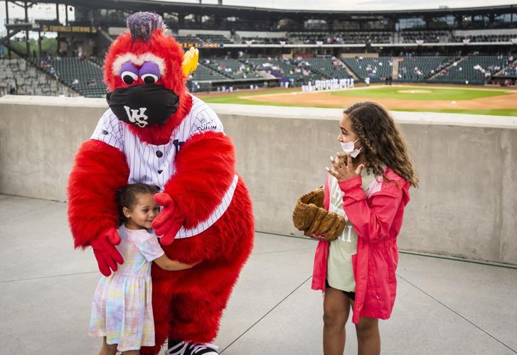 Tell us your favorite minor league baseball mascot in NC