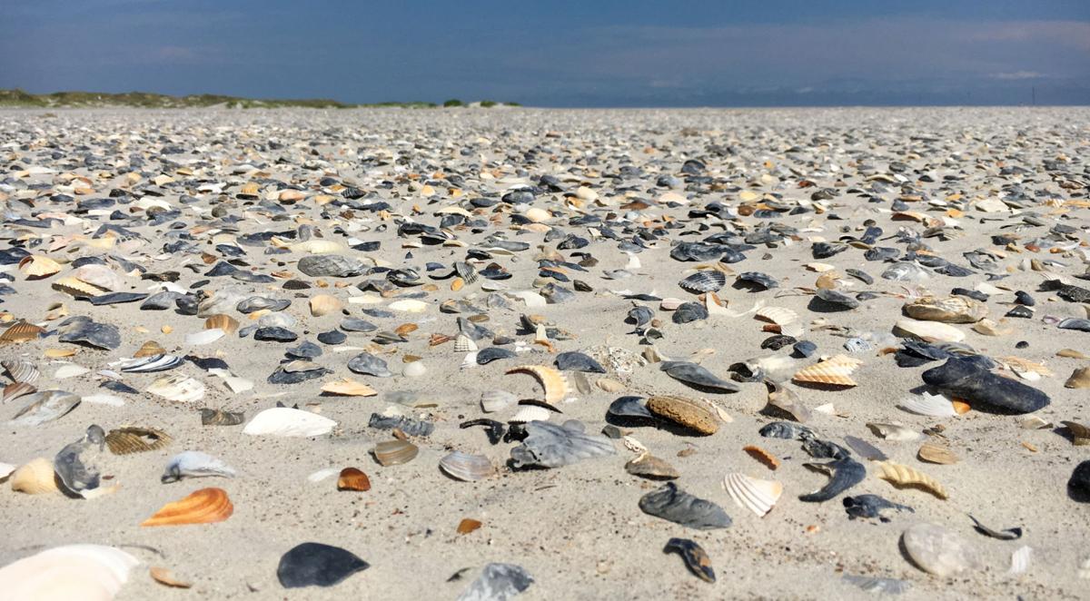 Get Out Hammocks Beach State Park