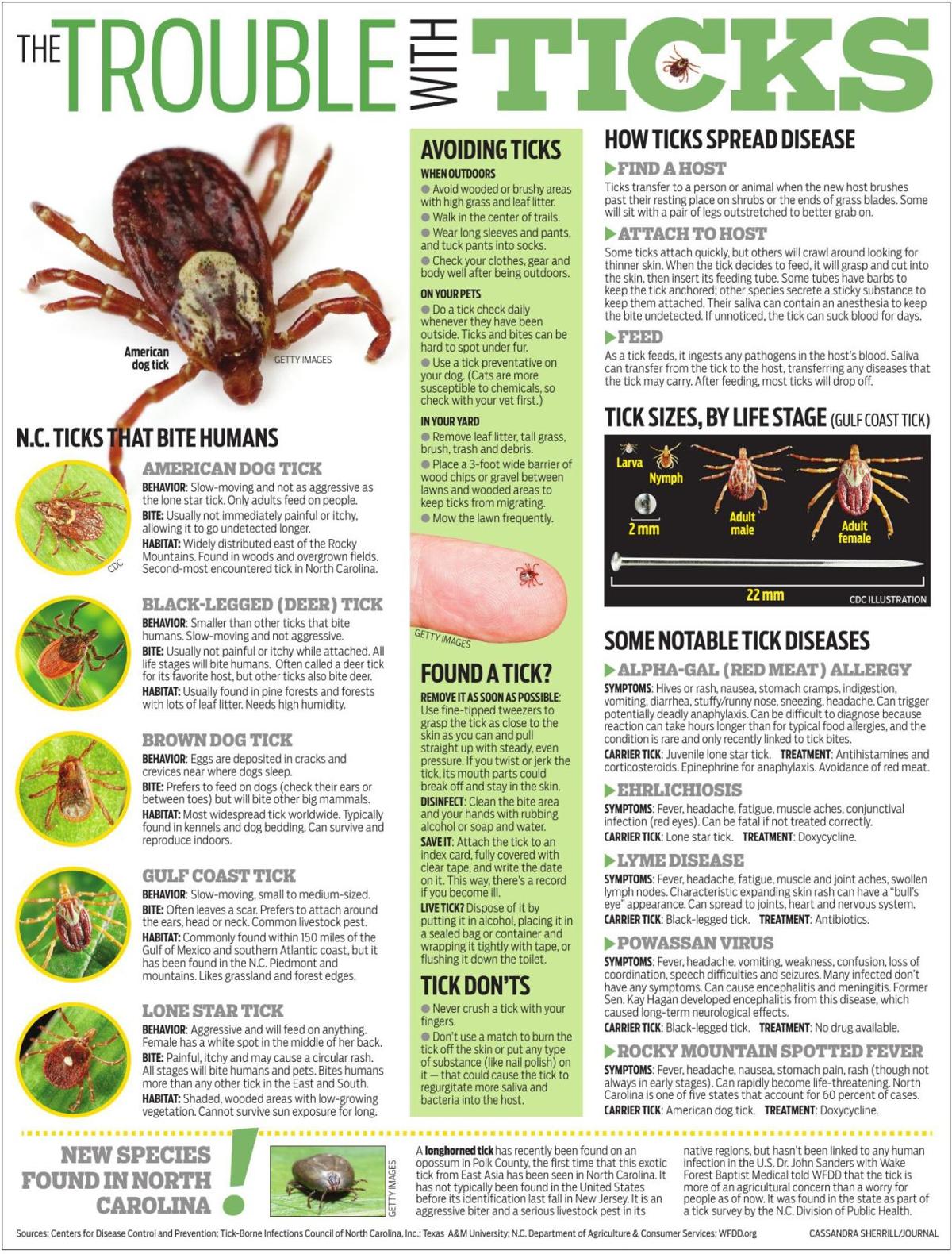 Worried About Ticks Here S What You Can Do To Avoid Them