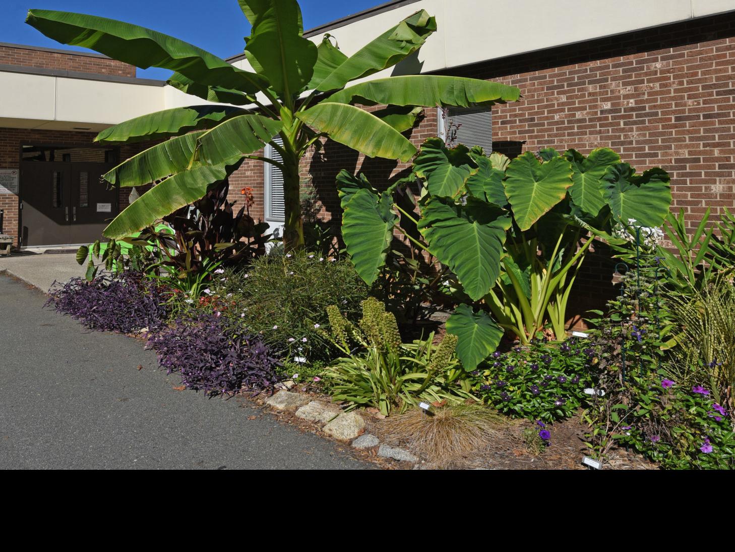Amy Dixon Extension S Demonstration Garden Offers A Touch Of The