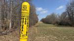 Triad Park Natural Gas Pipeline