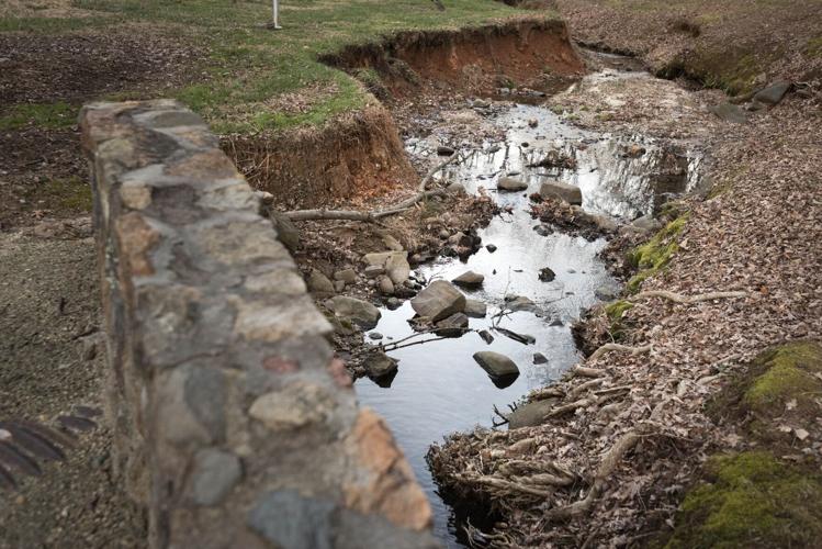 Runnymede Park stream set for rejuvenation