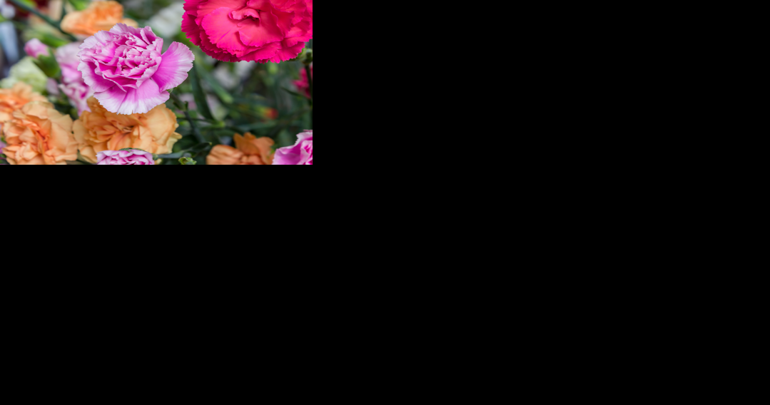 Religion calendar: April 29 - Vimarsana News