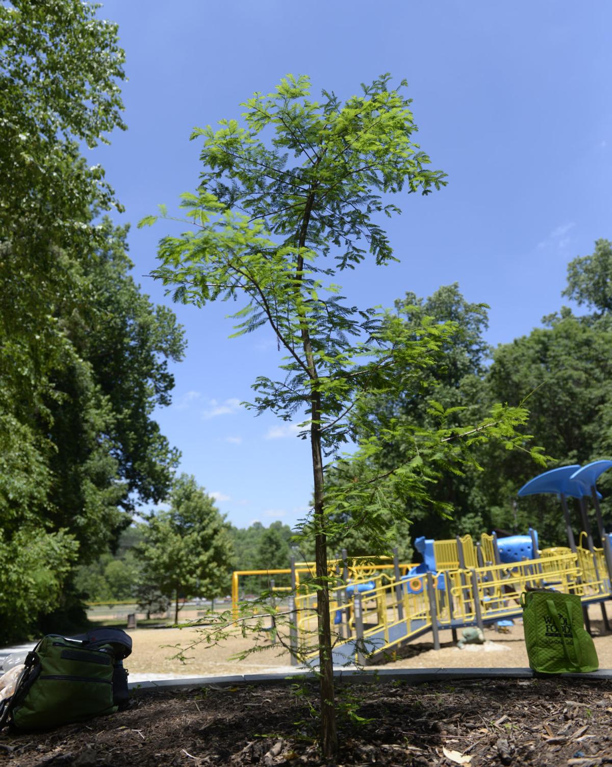 Sexton WinstonSalem city parks personnel make good on their word