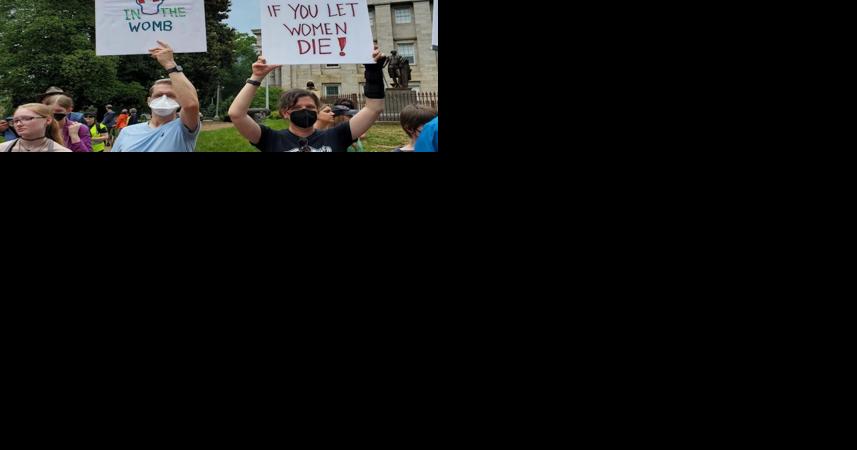 Rob Schofield: Voters: Leave abortion alone - Vimarsana News