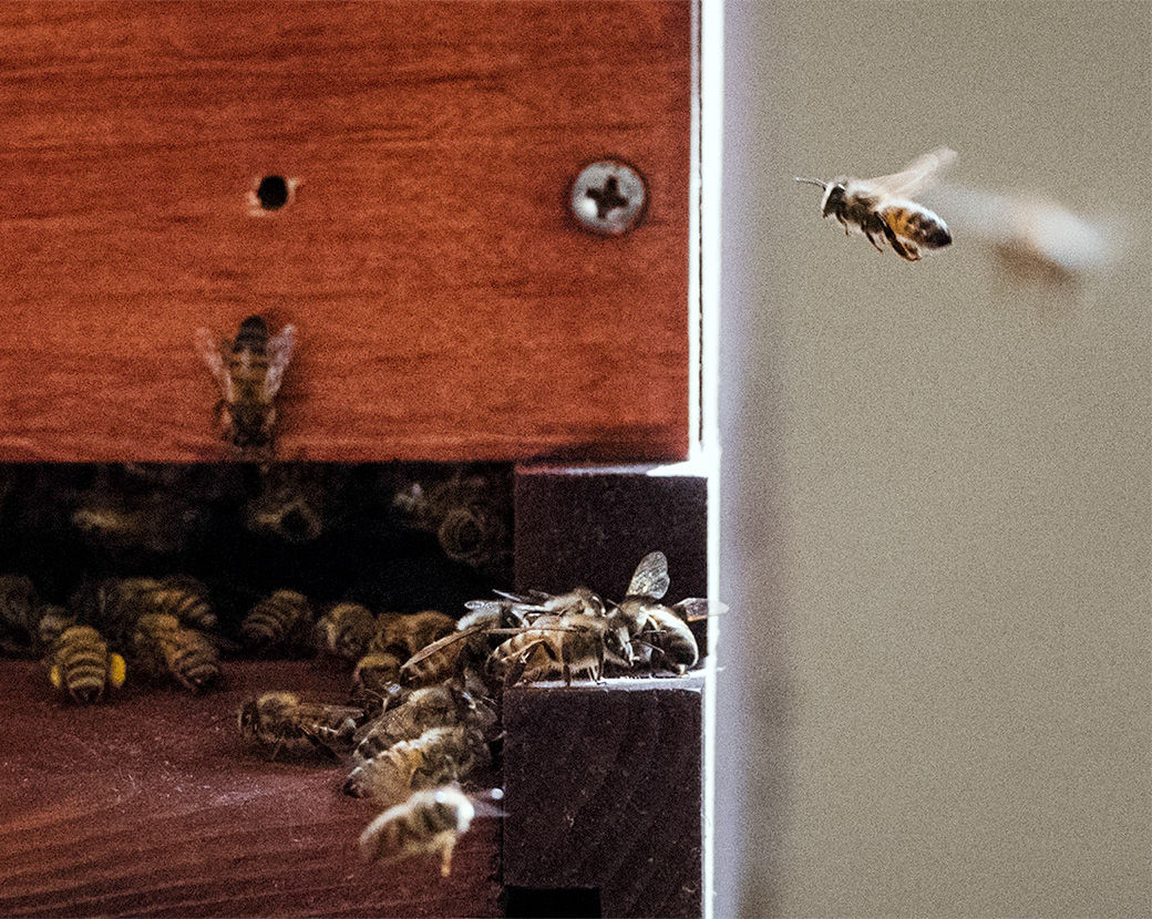 North Carolina State Beekeepers Association Centennial Conference