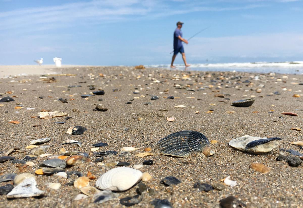 Get Out Hammocks Beach State Park Galleries