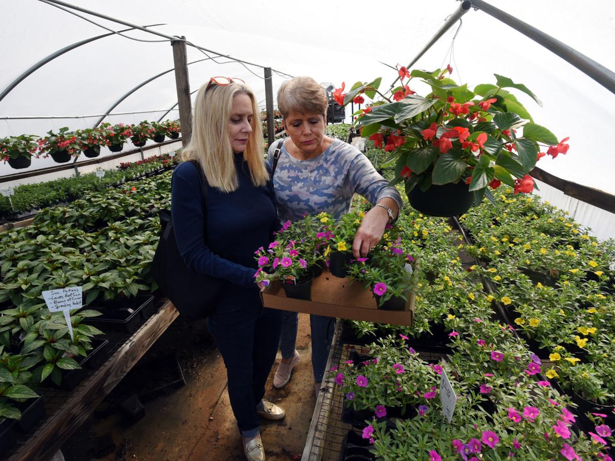 Nurseries Garden Centers Respond To Covid 19 Pandemic Lifestyles Journalnow Com