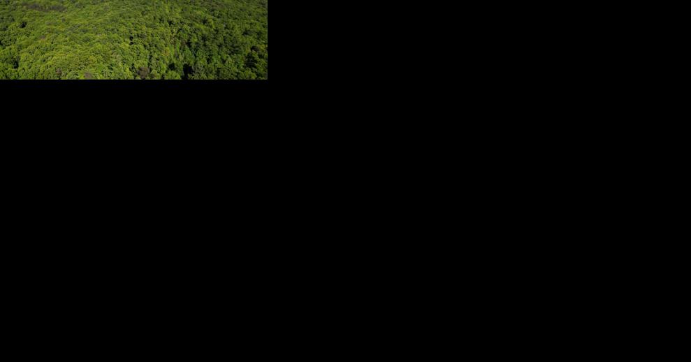 Tim Sweeny, Fred Stanback part of protecting 1,125 NC acres - Vimarsana News