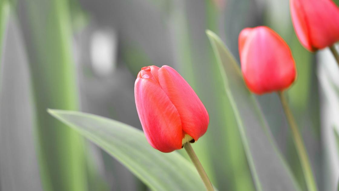 Obituaries For Saturday July 7 Obituaries Journalnow Com
