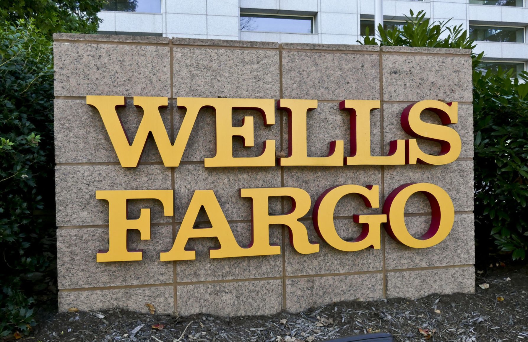 Wells fargo store ppp loan