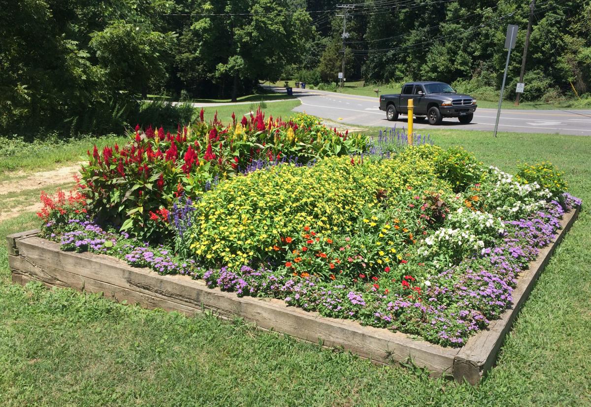 Volunteer Group Keep Winston Salem Beautiful Does Just That