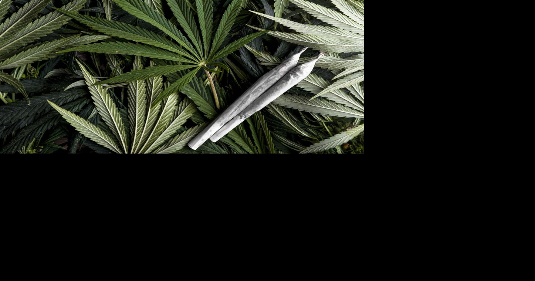 Why did Forsyth County need a $732 marijuana test?
