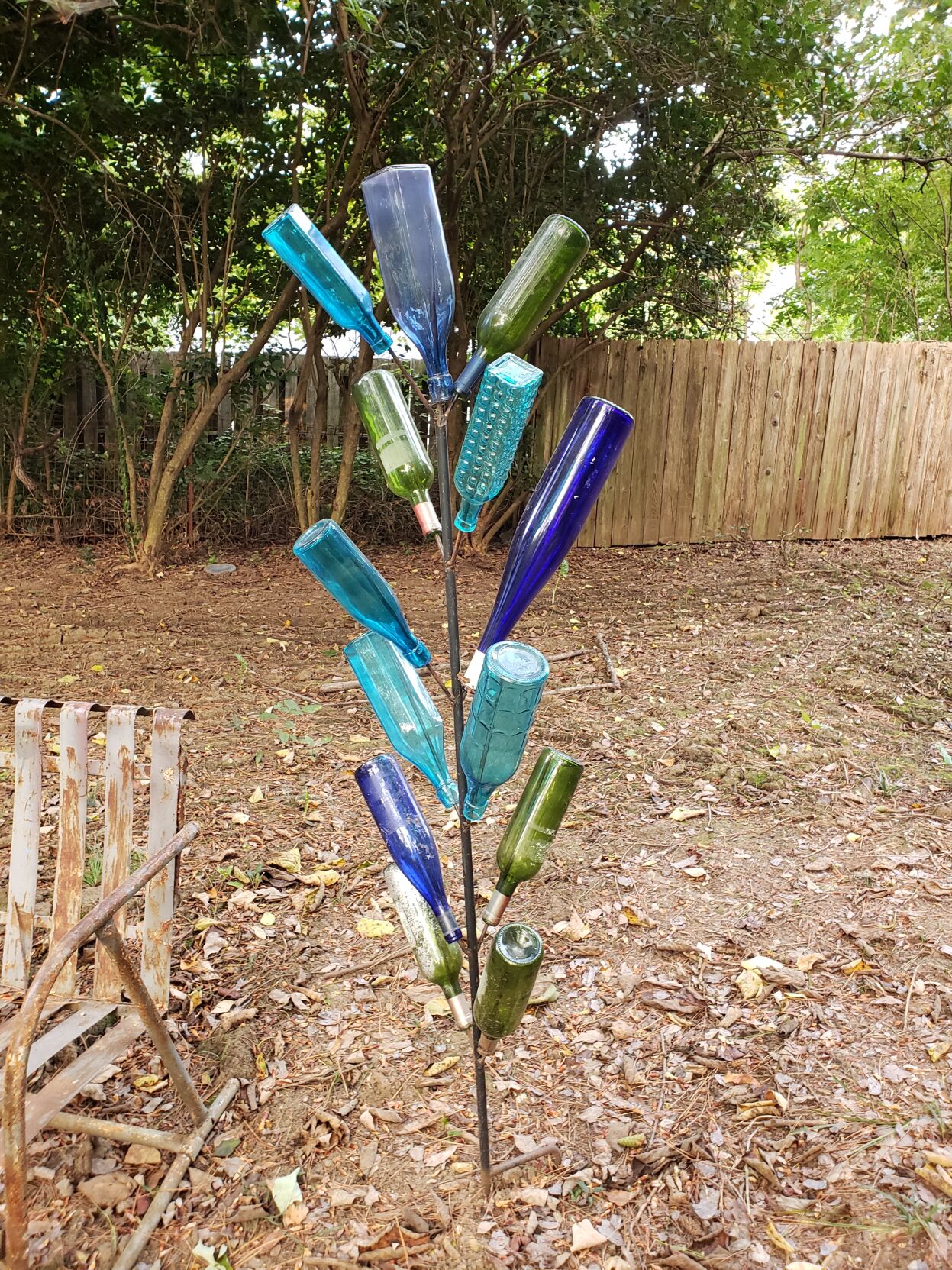 Amy Dixon Bottle trees enjoy a long history as garden