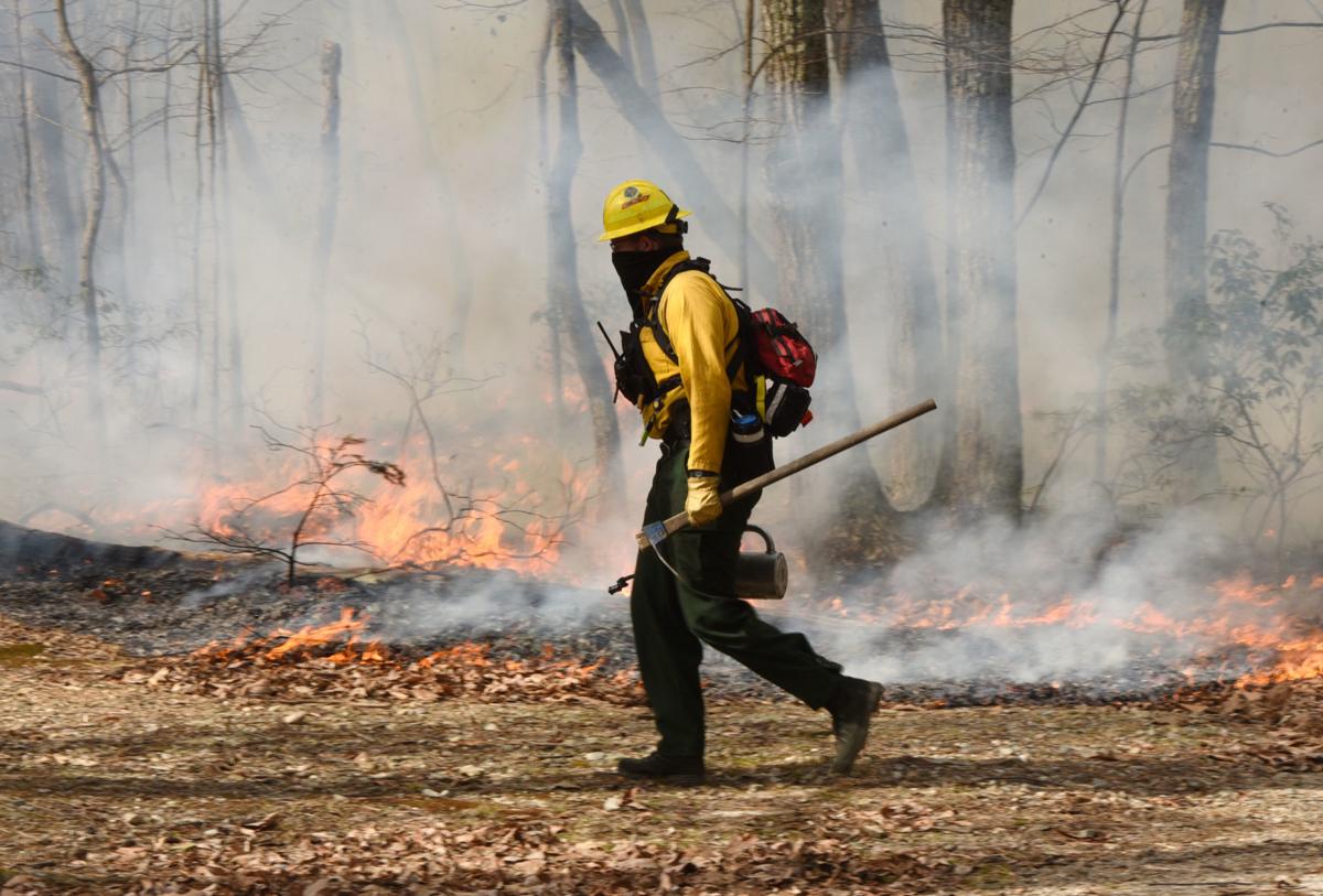 At Hanging Rock The Forest Service Fights Fire With Fire Local News Journalnow Com