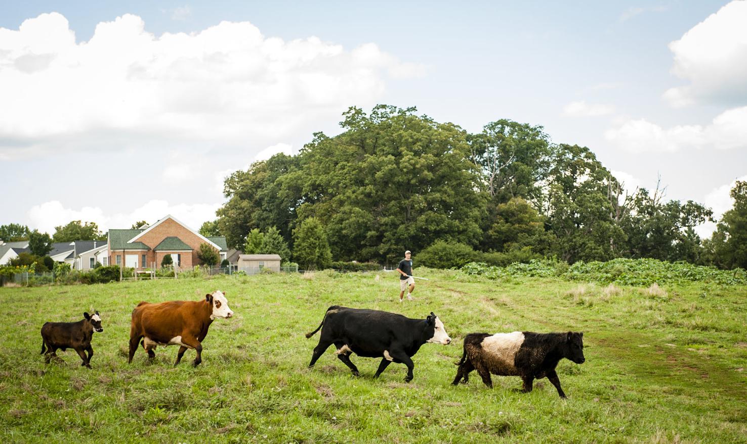 PHOTOS Crossnore School & Children's Home property in WinstonSalem