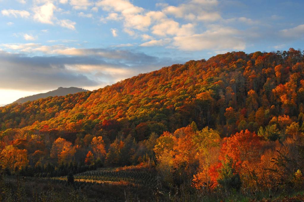 Elevate Your Getaway In Banner Elk Travel Outdoors