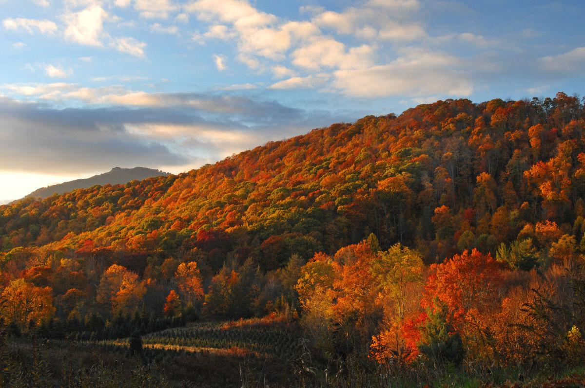 Elevate Your Getaway In Banner Elk Travel Outdoors