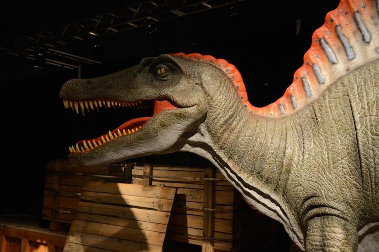 Greensboro Science Center turning 60 | | journalnow.com