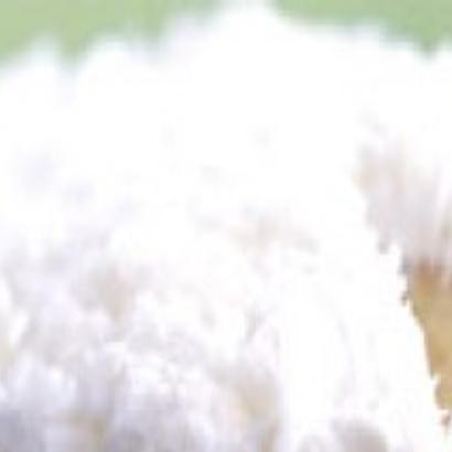 Let Them Eat Cake Festival Will Celebrate Southern Baking