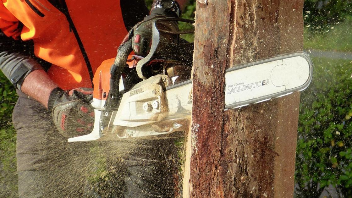 Were Chainsaws Made For Childbirth Chainsaws were apparently invented for helping with childbirth | Video