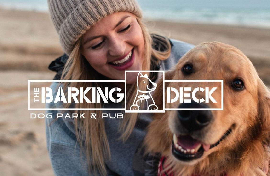 Indoor Dog Park And Bar Coming To Greensboro Business
