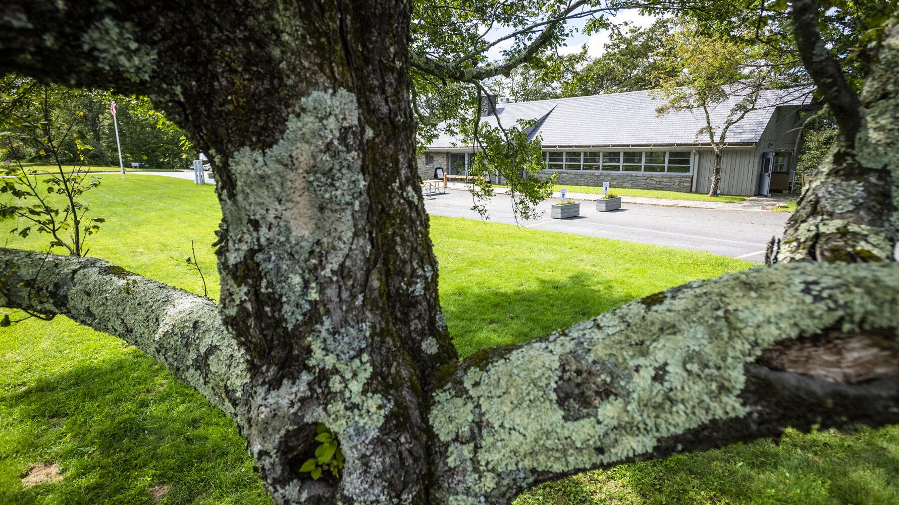 The Bluffs Restaurant set to reopen May 27 on the Blue Ridge Parkway - Vimarsana News