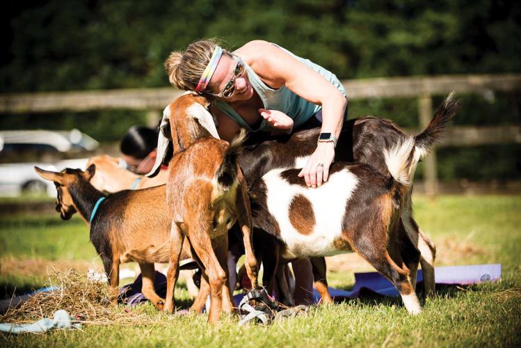 Combating Stress With the Latest Exercise Craze: Goat Yoga