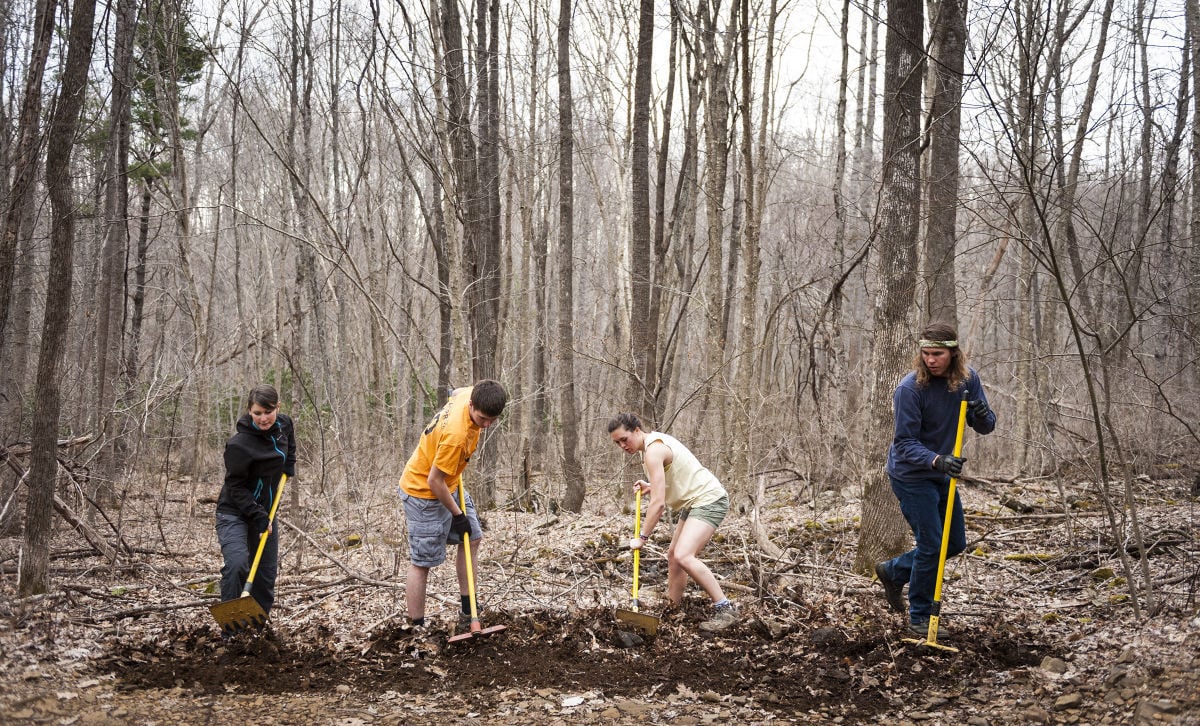 rocky knob mountain bike park