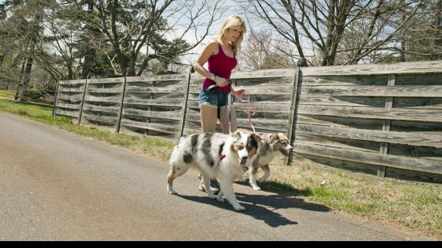 International pet-sitting association started in the Triad ...