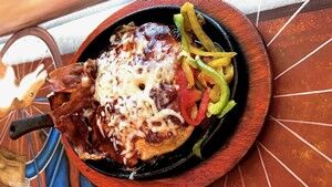 XCaret dish