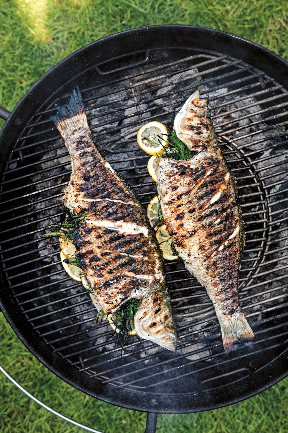 Fired Up Grillers have lots to choose from among new cookbooks Food