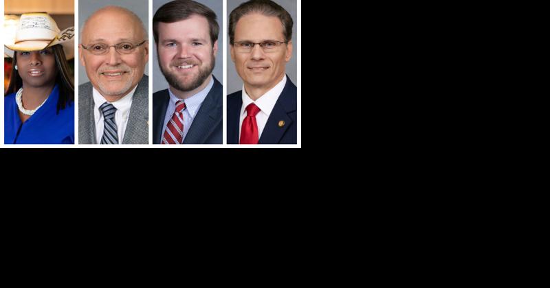 Brown, Day win handily in Democratic House primary in Forsyth; Hall dominates GOP House primary - Vimarsana News
