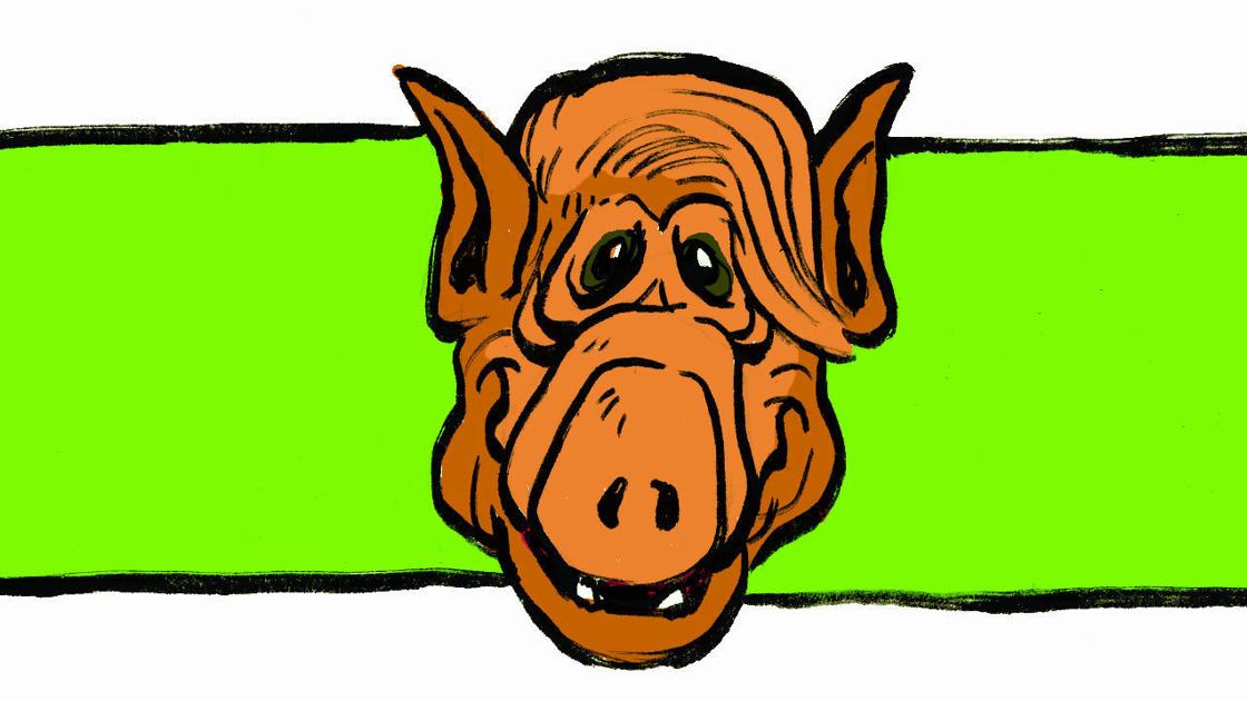 8 Alf Trending Journalnow Com